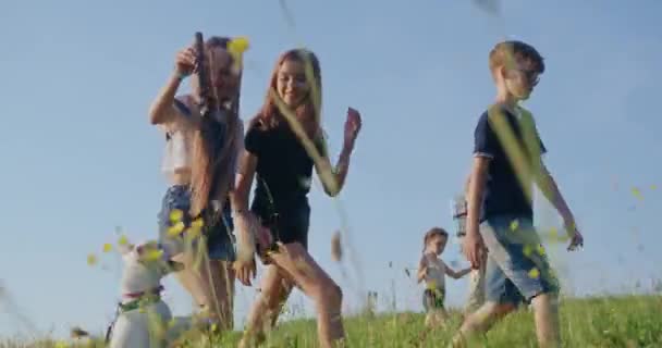 Lado Los Niños Avanzando Caminando Sonriendo Hablando Jack Russel Terrier — Vídeo de stock