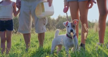 Çimlerin üzerinde yaşlı bir adamın dikildiği, güneşli havlamaların keyfini çıkardığı, Jack Russell Terrier 'in havladığı, turistlerin birlikte seyahat ettiği çocukların yakınına. Doğanın güzelliği kavramı.