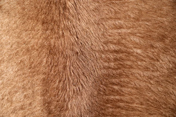Naturalne Miękkie Tkaniny Krótkim Beżowym Stosem Lub Naturalnym Wzorem Futra — Zdjęcie stockowe