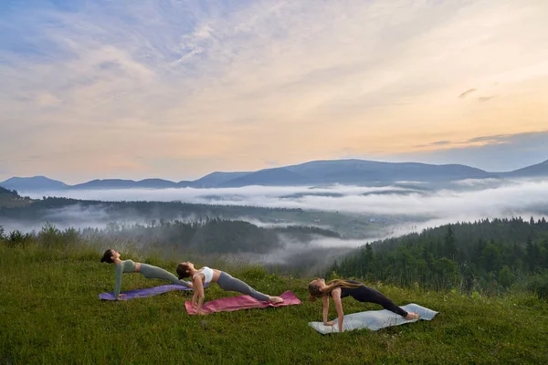 Active Young Women Sportswear Having Yoga Practice Summer Time Outdoors — Stock Photo, Image