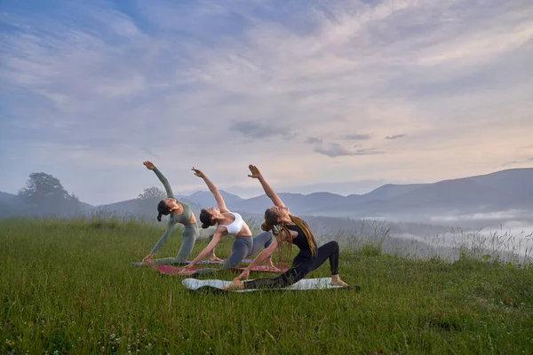 Fitness Junge Frauen Sportkleidung Machen Yoga Übungen Inmitten Der Sommerlichen — Stockfoto
