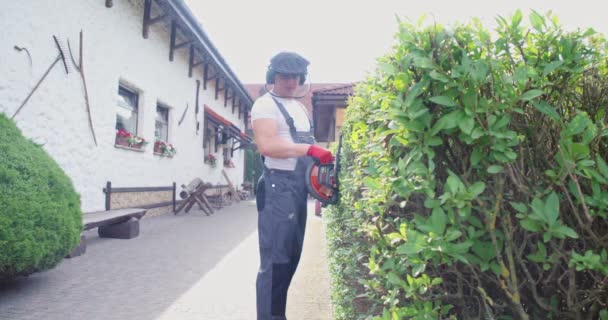 Hombre Caucásico Overol Escudo Seguridad Cortando Arbustos Boj Con Recortador — Vídeos de Stock