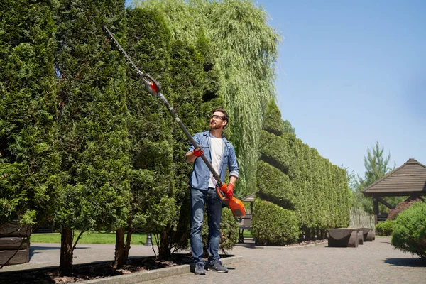 Mannlig Gartner Beskyttende Briller Ved Hjelp Håndelektrisk Trimmer Skjæring Trær – stockfoto