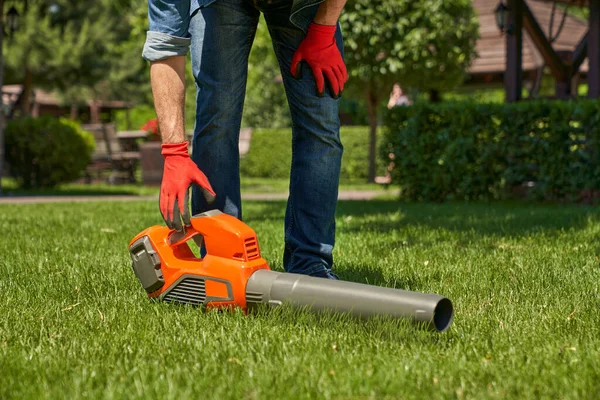 Modern leaf blower, powerful equipment for cleaning up leaf litters lying on lawn. Crop view of strong male hand in glove reaching vacuum cleaner on turf in the autumn park. Concept of seasonal work.