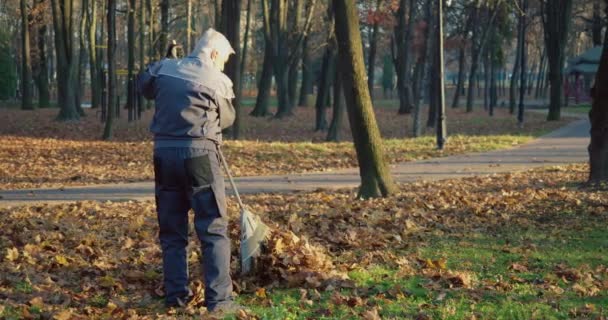 Bărbat Gri Caucazian Părul Salopete Mănuși Folosind Greblă Pentru Curățarea — Videoclip de stoc