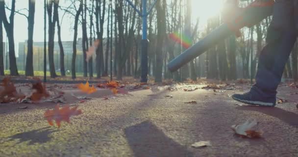 Wartungspersonal Overalls Säubert Mit Modernem Handgebläse Den Herbstlichen Stadtpark Kaukasier — Stockvideo