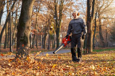 Yaşı ilerlemiş Kafkasyalı bir işçi dışarıdaki kuru yaprak yığınlarını üfleyerek çimenleri temizliyor. Sonbaharda yaprak üfleme makinesiyle çalışan üniformalı kıdemli bir adamın hukuki açıdan bakış açısı. Çalışma konsepti.