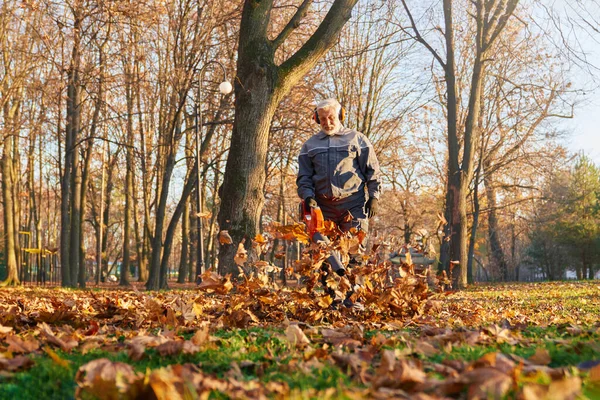 Hardworking man working with heavy leaf blower, while leaves curling and glowing in pleasant sunlight. Low angle view of senior caucasian man blowing out golden leaves in park. Concept of work.