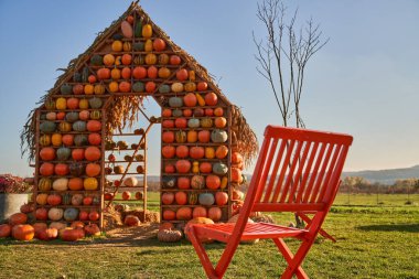 Yeşil tarlada ahşap bir sandalye ve arka planda dekoratif balkabağı evi. Sahte eve karşı kırmızı sandalyenin düşük açılı görüntüsü, güneşli sonbahar gününde balkabaklarıyla süslenmiş. Dekorasyon kavramı.
