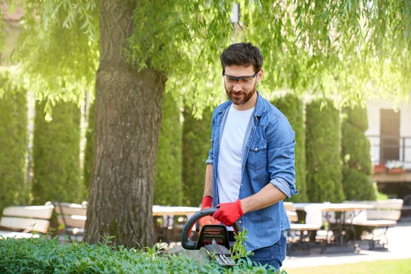 Tukang Kebun Pria Fokus Dalam Sarung Tangan Memotong Pagar Kayu — Stok Foto