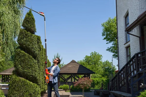 Taitava Puutarhuri Käyttäen Korkean Korkeuden Pensasleikkuri Muotoillessaan Pensas Topiary Puutarhassa — kuvapankkivalokuva