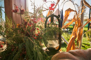 Büyük balkabağı şeklindeki güzel sonbahar süslemesi, viburnum ve açık havada gazyağı lambası. Vintage gaz lambası ve kırsal alanda sonbahar dekorasyonu. Sonbahar dekorasyon kavramı.