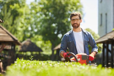 Güneşli bir günde çitleri elektrikli çit makasıyla buduyor. Arka bahçede sakallı, boxwood çalısı şekillendiren gülümseyen tamircinin portresi. Peyzaj anlayışı.