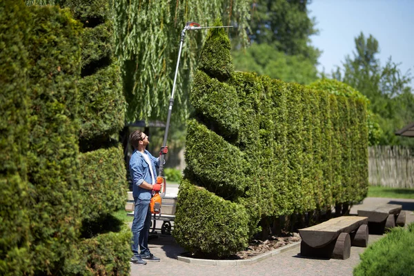 콘이퍼 트리머를 캐주얼 공원에서 커터를 사용하여 에버그린 트리를 영감을 조경사의 스톡 사진