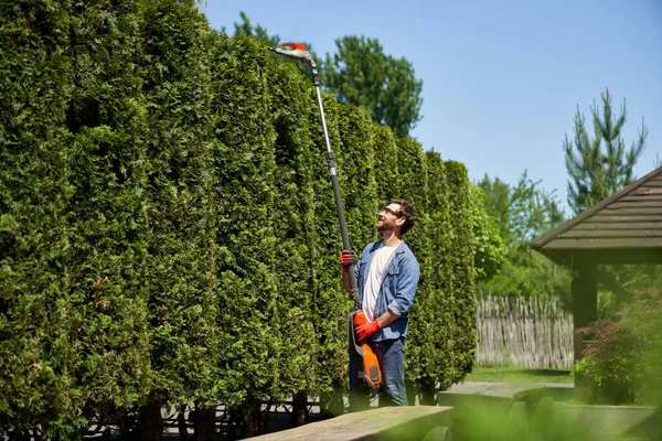 Strong Male Gardener Cutting Top Huge Thujas Motorized Hedge Trimmer Royalty Free Stock Images