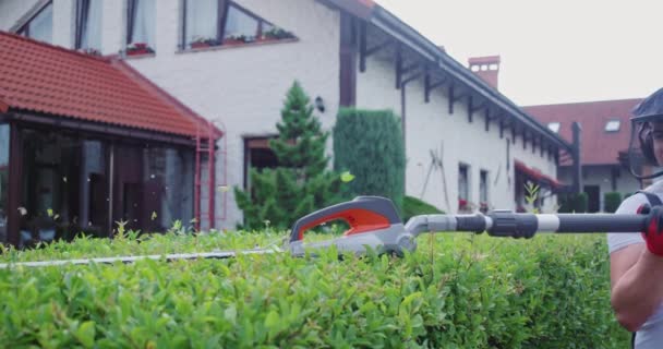 Jardineiro Experiente Cortando Cima Sebes Com Enormes Carregadores Elétricos Quintal — Vídeo de Stock