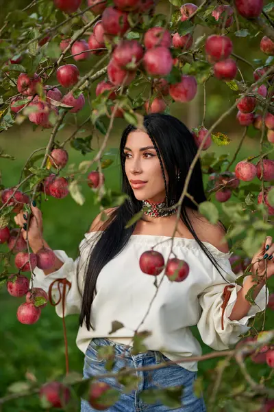 木の枝に隠れている思慮深いブルネットの女性は 赤いリンゴで覆われています 鮮やかなネックレスを着た白人女性の肖像画は 秋の初めにリンゴの果樹園でポーズをとっています 女性の美容コンセプト ストック写真