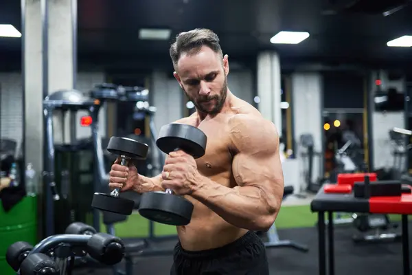 Handsome Dark Haired Man Exercising Sports Gym Portrait Bearded Bodybuilder Royalty Free Stock Images