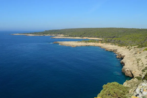 Panorama Das Belezas Naturais Porto Selvaggio Puglia — Fotografia de Stock