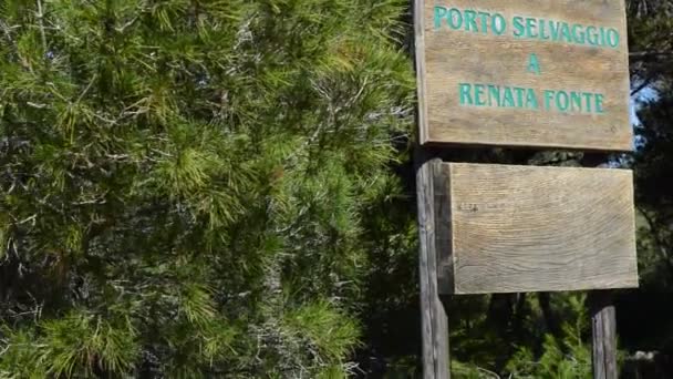 Panorama Com Vista Superior Porto Selvaggio Puglia — Vídeo de Stock