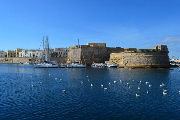 Die Schönheit Der Möwen Hafen Von Gallipoli Apulien Und Der — Stockfoto