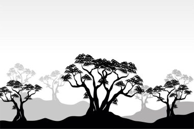 Siyah beyaz mangrov ağacı siluetinin panoramik manzarası