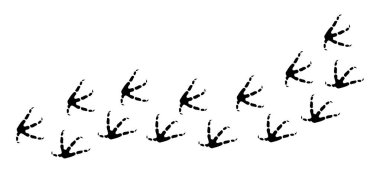 Kartal ayak izleri vektör çizimi beyaz arkaplanda izole edildi