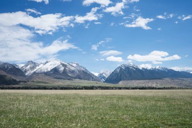 Absaroka Dağları Çimenli bir çayırın arkasında