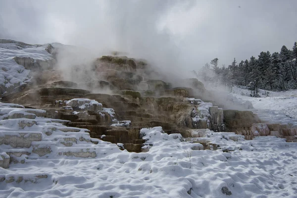 Kışın Yellowstone Ulusal Parkı 'nda Mamut Kaplıcaları