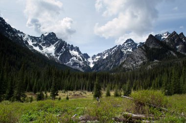 Stuart Dağı vadisi Alp Gölleri 'nin vahşi doğasında.