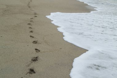 Tayrona Milli Parkı 'ndaki patika