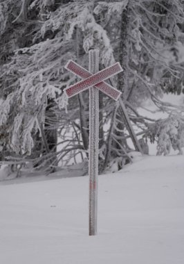 Frosty Nordic kayak izi belirleyiciName