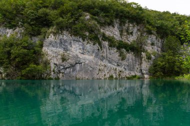 Turkuaz su, kireçtaşı kaya ve yemyeşil orman manzaralı Plitvice Ulusal Parkı