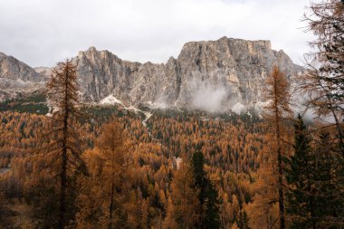 Alp ormanlarında sonbahar renkleri, Dolomite dağlarının altındaki bir vadiyi dolduruyor.