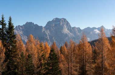 Dolomitlerin güzel sonbahar manzarası mavi gökyüzünün altında