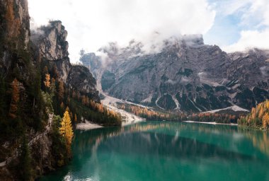 Güneş ışığı, sonbahar manzarasında lago di braies kıyılarındaki bir tarla ağacını aydınlatır.