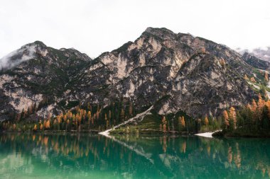 Dağları ve ormanı Alpin Gölü 'ne yansıtan Pragser Wildsee çevresindeki dağ manzarası
