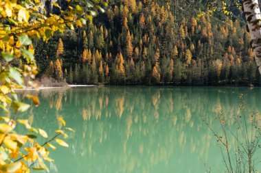 Sonbahar ormanı Lago di Landro 'ya yansıdı, sonbahar renkleriyle süslendi.