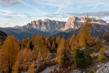 Dolomite dağlarında altın bir akşam ışığı ve canlı bir sonbahar ormanı.