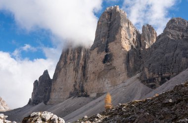 İtalyan Dolomitlerindeki küçük bir portakal ağacının tepesindeki kireçtaşı dağları.