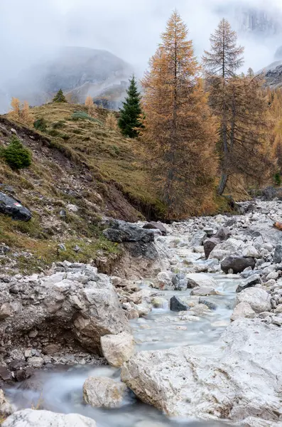 Sonbahar manzarasında bir Alp deresinin uzun pozlama fotoğrafı