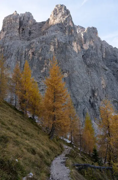 Bir sonbahar sabahı, Sella Geçidi yakınlarında İtalyan Dolomitleri 'nde yürüyüş yaparken.