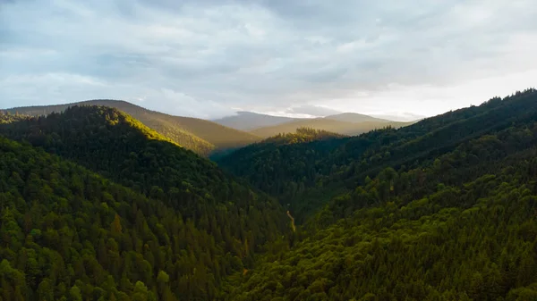 Góry Lasy Sfotografowane Drona Transylwania Rumunia — Zdjęcie stockowe