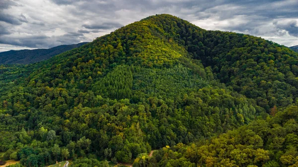 ルーマニアのトランシルヴァニアで撮影された山と森 — ストック写真