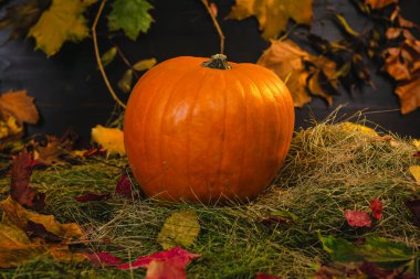 Saman ve sonbahar yapraklarının arka planında balkabağı