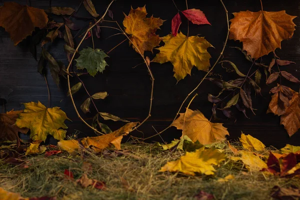 Background Autumn Leaves Straw Hay — Stock Photo, Image