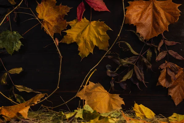 Background Autumn Leaves Straw Hay — Stock Photo, Image