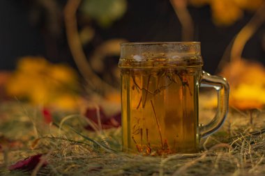 Sonbahar yapraklarının arka planında bitki çayı