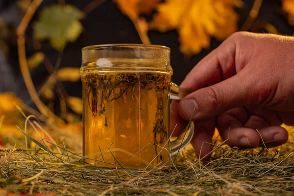 Herbata Ziołowa Tle Jesiennych Liści Męską Dłonią — Zdjęcie stockowe