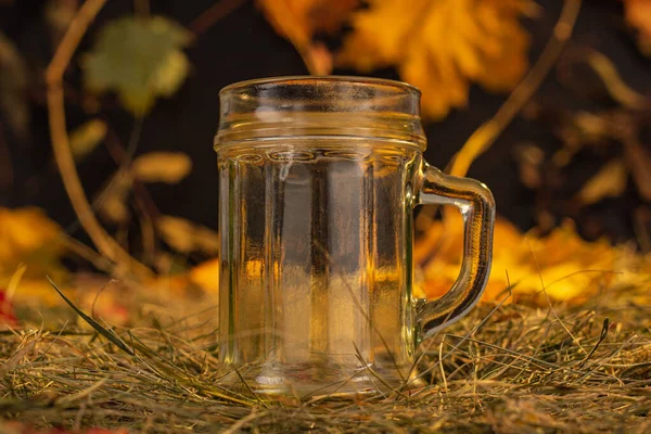 Herbata Ziołowa Tle Jesiennych Liści — Zdjęcie stockowe